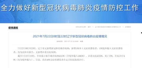 沈阳的今天新闻最新爆料,神秘事件引发社会关注
